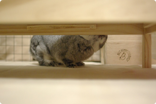 ふんふん…