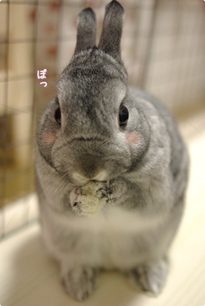 ぽっ