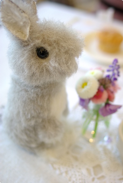 うさぎcafe