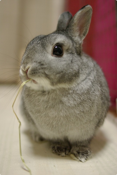 ふふ〜ん
