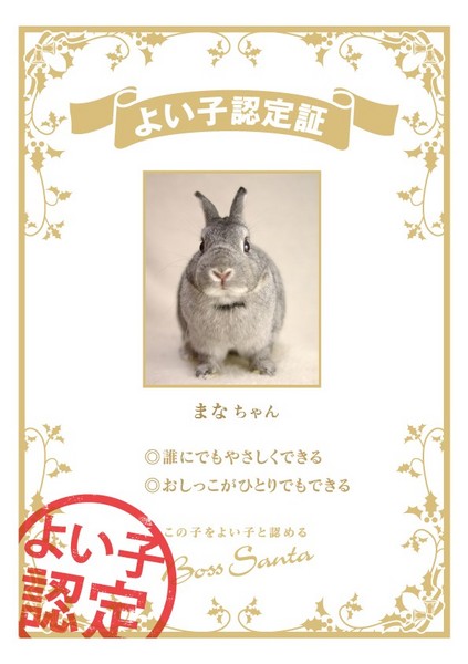 よい子認定