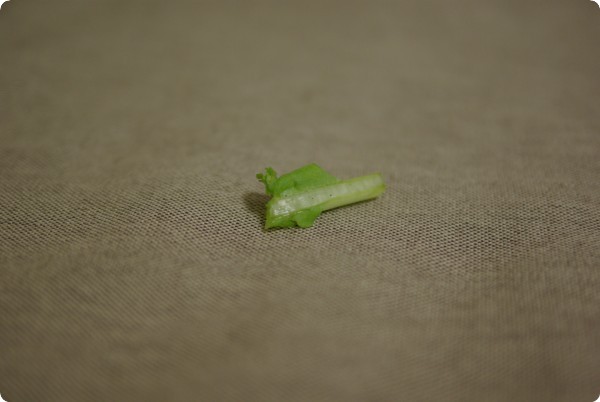 ぽつ〜ん