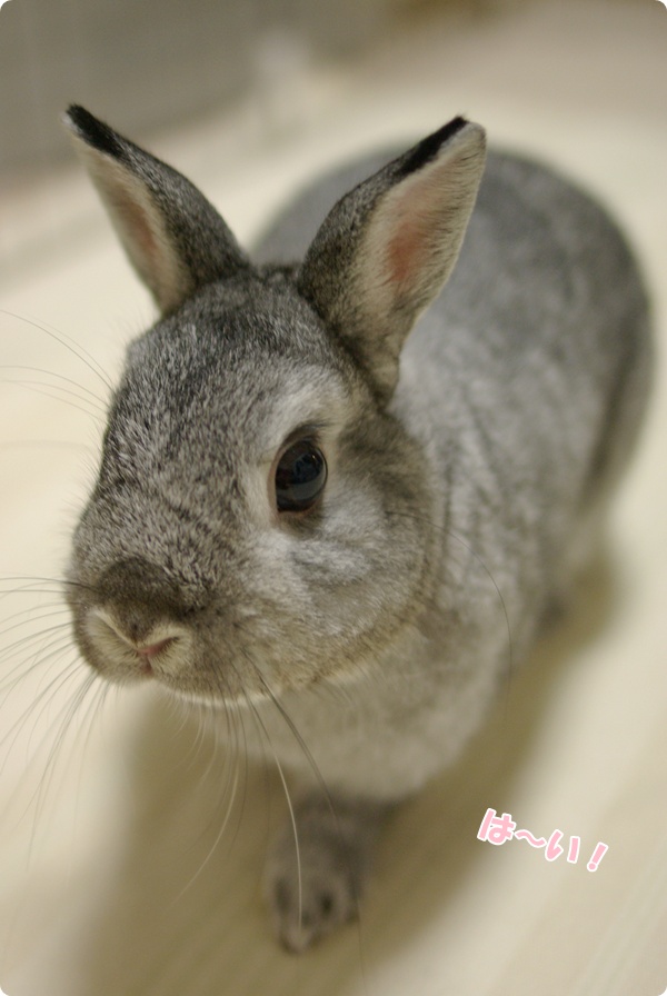 てけてけ