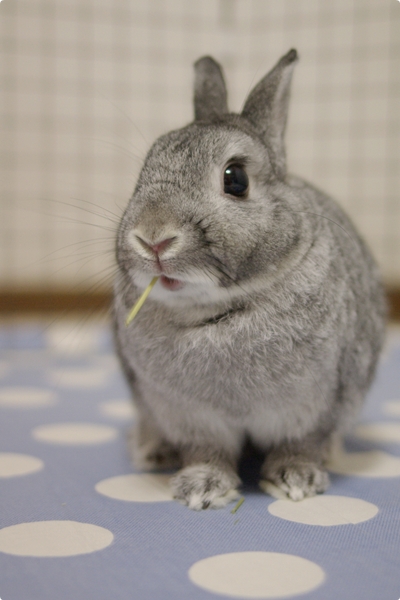 7歳になりました