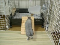 と、見せかけて・・・