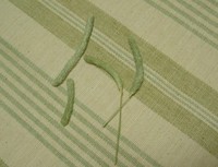 キレイにお残し